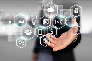 店火火營銷新格局 網絡技術服務賦能實體商業