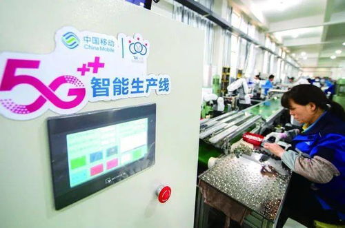 金華工業經濟跑出加速度，網絡技術服務指標全省第一