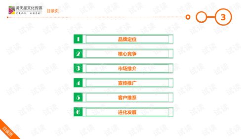 大米姐品牌營(yíng)銷策劃案 企業(yè)形象策劃與商業(yè)計(jì)劃書(shū)精品模板